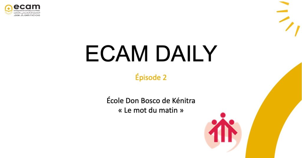ECAM DAILY